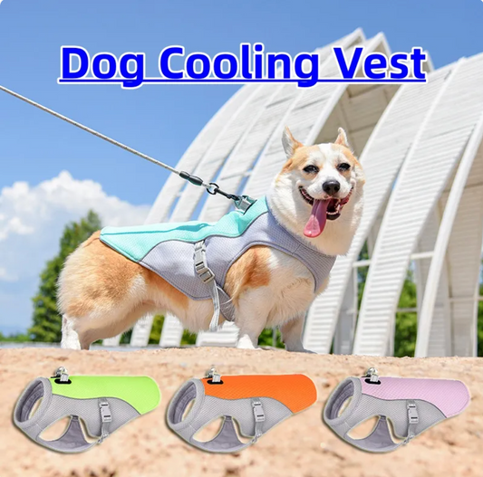 Cloudora Dog Cooling Vest — Breathable Summer Safety Jacket for Small & Large Dogs
