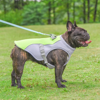 Cloudora Dog Cooling Vest — Breathable Summer Safety Jacket for Small & Large Dogs