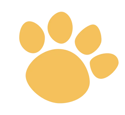 Cloudora Pet