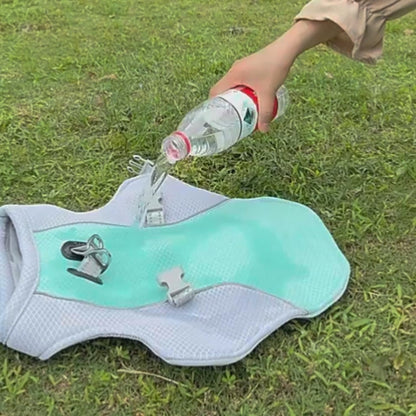 Cloudora Dog Cooling Vest — Breathable Summer Safety Jacket for Small & Large Dogs